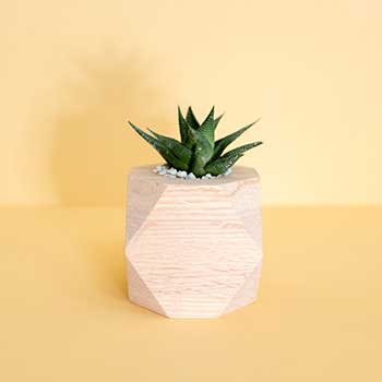 在线手机号测压